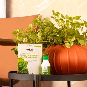 KIT OVAL HANAZAKI P TERRACOTA E FERTILIZANTES