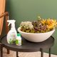 KIT BACIA P BRANCO MÁRMORE E FERTILIZANTES