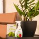 KIT CONE BAIXO 22 PRETO ABSOLUTO E FERTILIZANTES