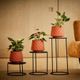 KIT DE 3 VASOS RECÔNCAVOS TERRACOTA COM SUPORTES