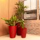 KIT DE 3 VASOS CONE RISCATO VERMELHO