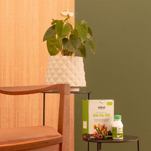 KIT RECÔNCAVO 46 BRANCO MÁRMORE E FERTILIZANTES