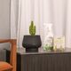 KIT CUMBUCA BOJUDA PP PRETO ABSOLUTO E FERTILIZANTES