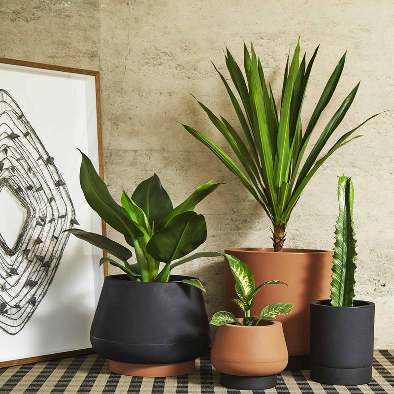 KIT DE 4 VASOS CUMBUCA PRETO E TERRACOTA - Vasap Design