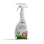 ROSA-DO-DESERTO_500ML_01