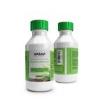 SAMAMBAIA_100ML_03