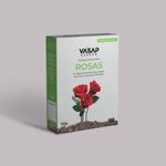 FEED_ROSAS