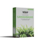 SAMAMBAIAS_150G_01