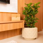 VASO_RECONCAVO_38_AREIA