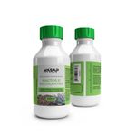 CACTOS E SUCULENTAS_100ML_03