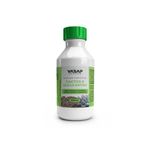 CACTOS E SUCULENTAS_100ML_01