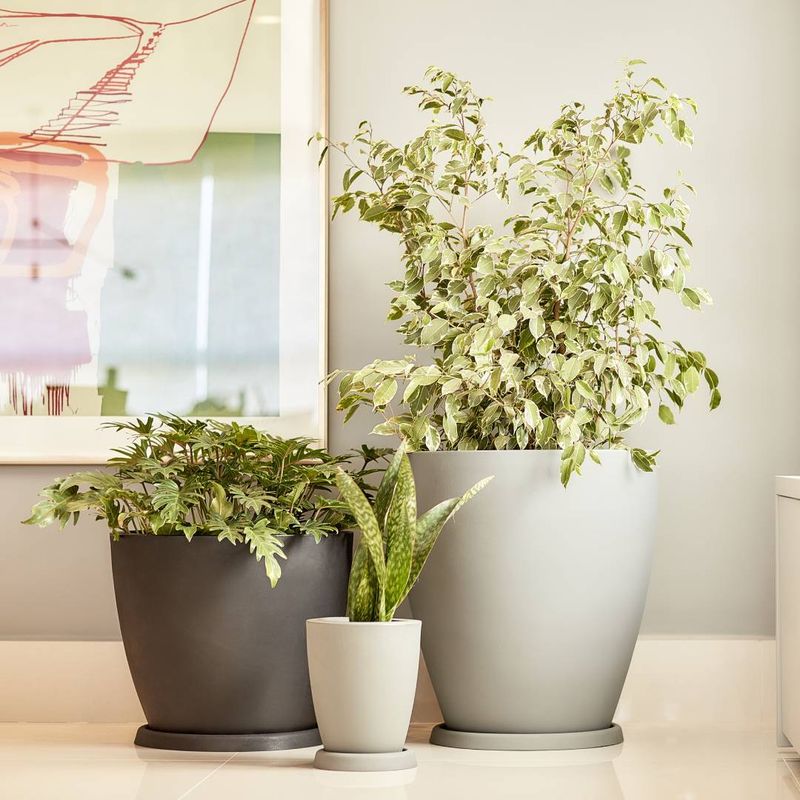 KIT DE 3 VASOS VIETNAMITA COM PRATOS