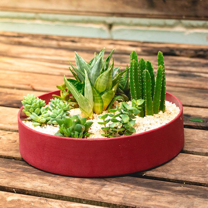 PRATO CUMBUCA ALONGADA M VERMELHO - OUTLET