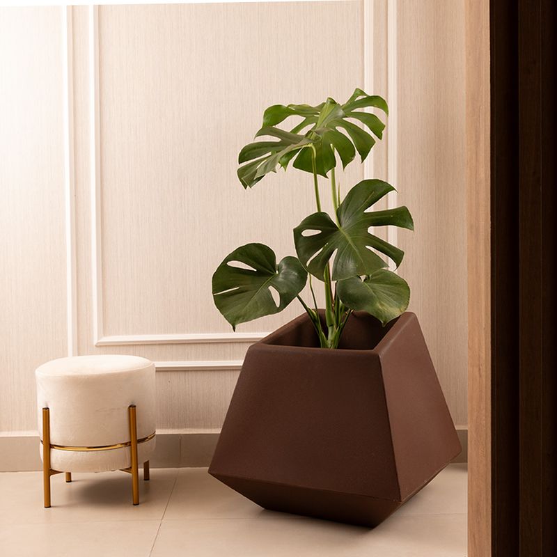 (DESCONTINUADO) - VASO PRISMA LEO ROMANO 50 ARGILA