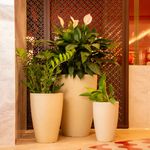 KIT DE 3 VASOS CONE GRAFIATO AREIA