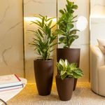 KIT DE 3 VASOS VIETNAMITAS ARGILA