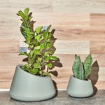 KIT DE 2 VASOS KONY ZANINI CINZA