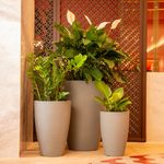 KIT DE 3 VASOS CONE GRAFIATO CINZA