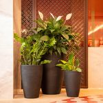 KIT DE 3 VASOS CONE GRAFIATO PRETO ABSOLUTO