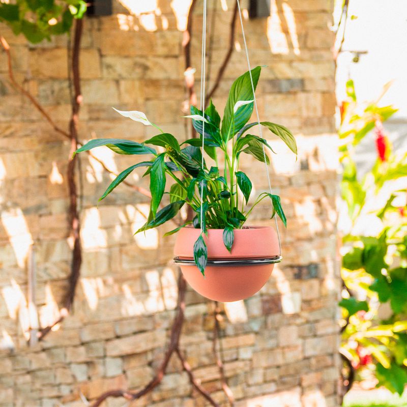 KIT COSMOS 15 TERRACOTA E SUPORTE AÉREO