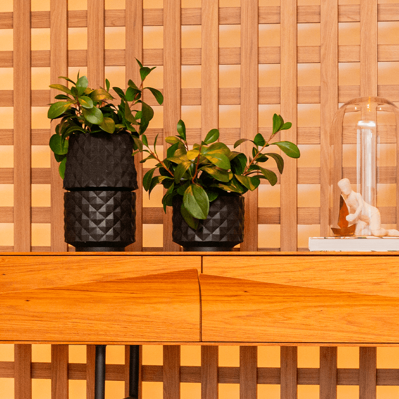 KIT 3 RECÔNCAVO MINI PRETO ABSOLUTO