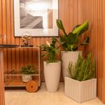 KIT DE 2 VIETNAMITA E 1 RIPADO M BRANCO MÁRMORE