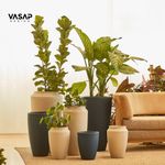 KIT DE 7 VASOS MISTOS THAI E VIETNAMITA