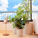 KIT DE 3 VASOS CUMBUCA E REGADOR BRANCO MÁRMORE