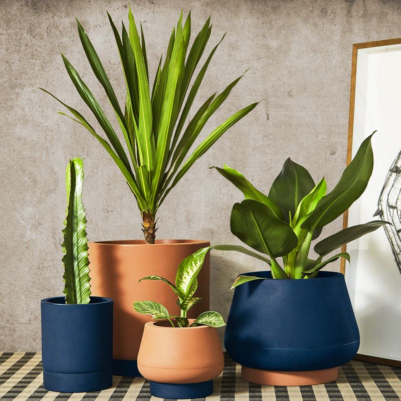 KIT DE 4 VASOS CUMBUCA AZUL MACAÚBA E TERRACOTA