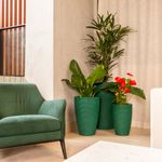 KIT DE 3 VASOS CONE RISCATO VERDE