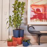 KIT 4 VASOS ORGANÍQUE AZUL MACAÚBA E TERRACOTA