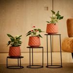 KIT DE 3 VASOS RECÔNCAVOS TERRACOTA COM SUPORTES