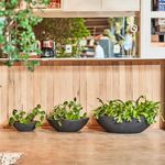 KIT DE 3 BACIAS PRETO ABSOLUTO