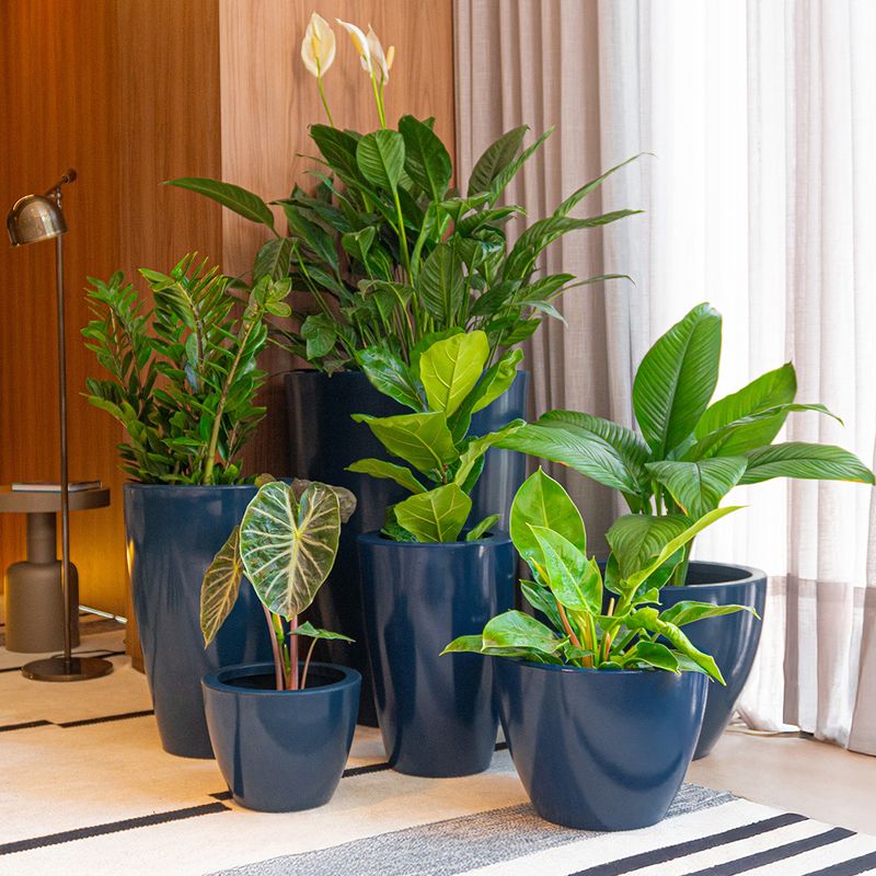 KIT 6 VASOS CONE LISO AZUL MACAÚBA