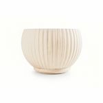 AREIA 6139