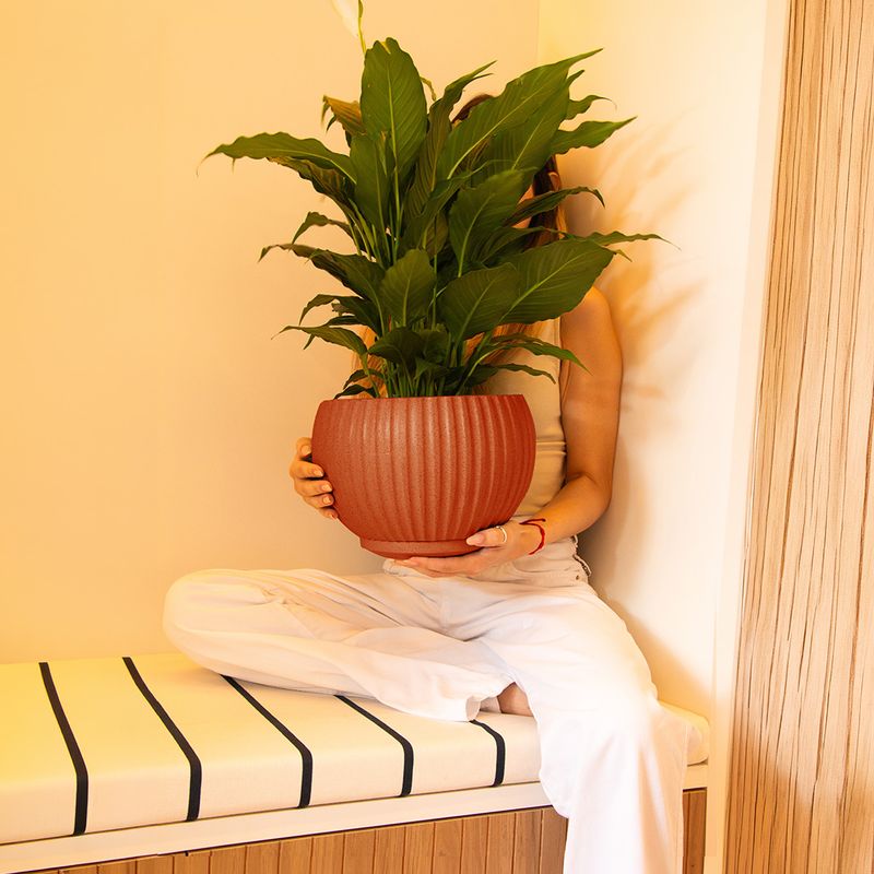 TERRACOTA 6073