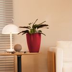VASO VIETNAMITA 31 VERMELHO COM BRILHO