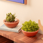 KIT DE 2 BACIAS PP TERRACOTA 5824