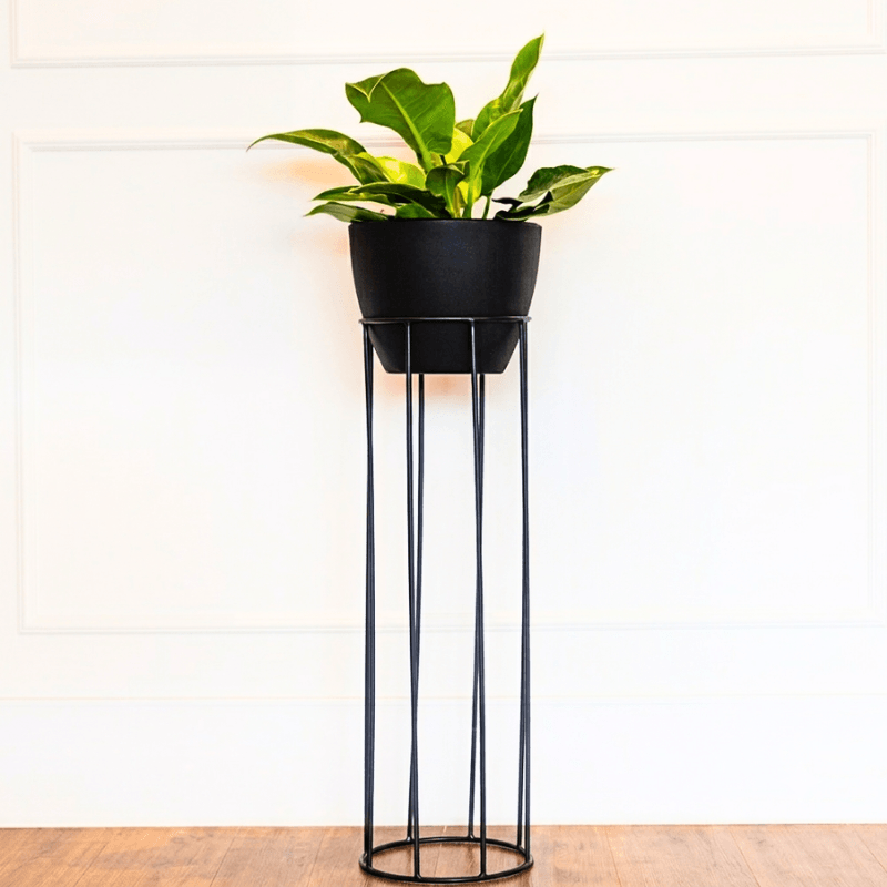 CONE BAIXO PRETO ABSOLUTO COM SUPORTE VENEZA ALTO