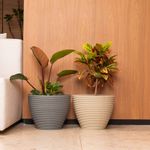 KIT DE 2 VASOS CONE BAIXO RISCATO 36 CINZA E AREIA