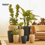 KIT DE 7 VASOS MISTOS THAI E VIETNAMITA