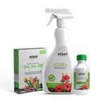 KIT PARA FLORES
