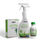 KIT PARA CACTOS E SUCULENTAS
