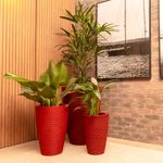 KIT DE 3 VASOS CONE RISCATO VERMELHO