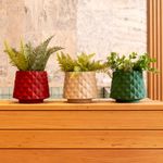 KIT DE 3 VASOS RECÔNCAVO MINI MISTO
