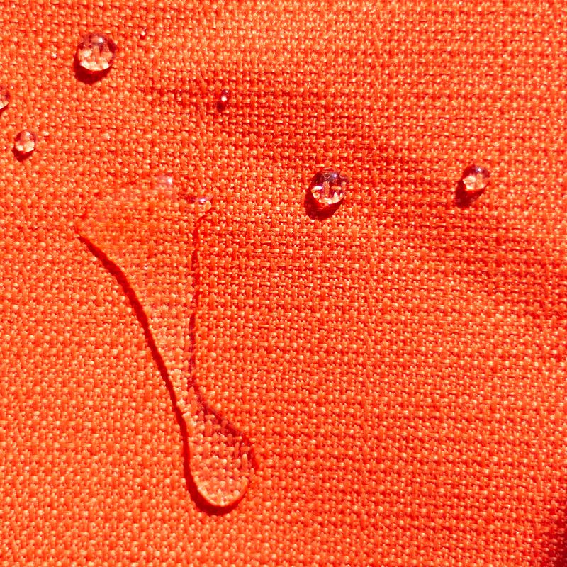 CORAL 1706