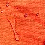 CORAL 1694