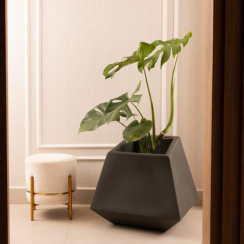 VASO PRISMA LEO ROMANO 50 PRETO ABSOLUTO
