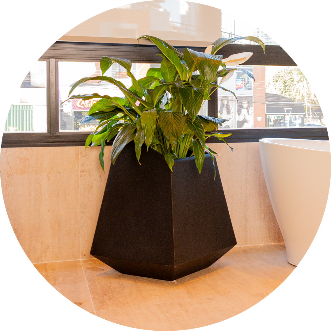 Minimalista, traz vasos como diamantes, perfeitos para valorizar plantas preciosas.
